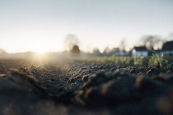 Landwirtschaft, Landbearbeitung, Kulturlandschaft